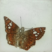 Michele Rolstone